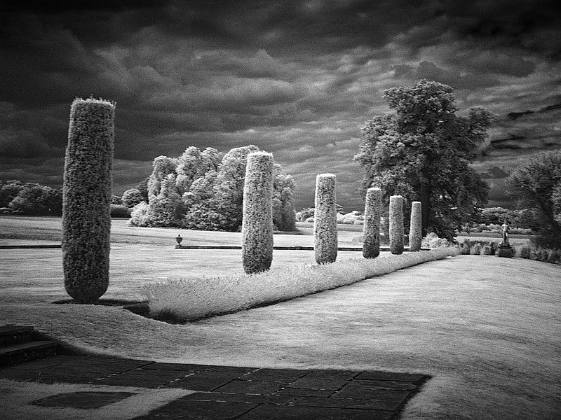 mottisfont